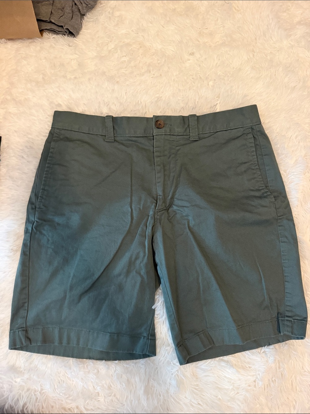 Men's Casual Cotton Shorts in Sage Green